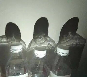Кажется на первый