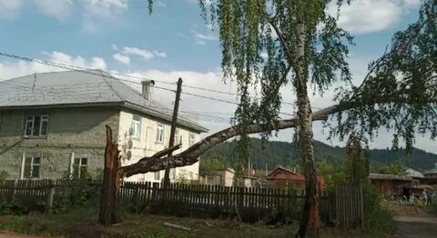 Погода в кулыгах