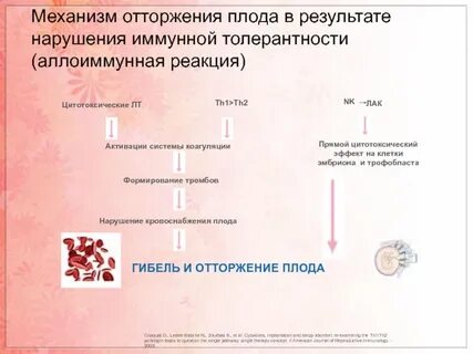 Отторжение беременности