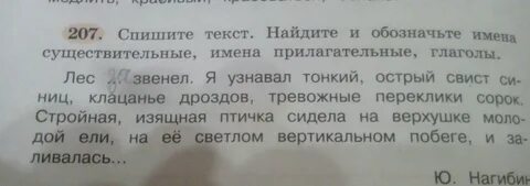 Спиши второй абзац текста обозначь окончания