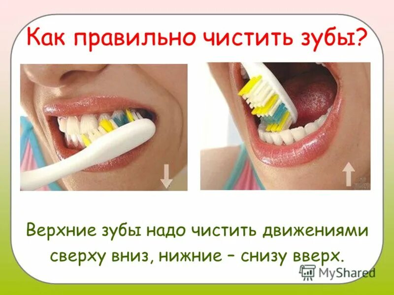 Когда нужно чистить зубы. Когда нужно чистить зубы