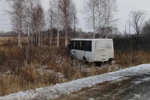 Погода денисово исетский тюменской