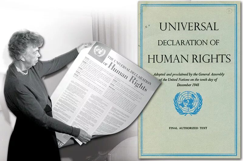 Принятие декларации оон. Всеобщая декларация прав человека ООН. Женевская декларация 1948.