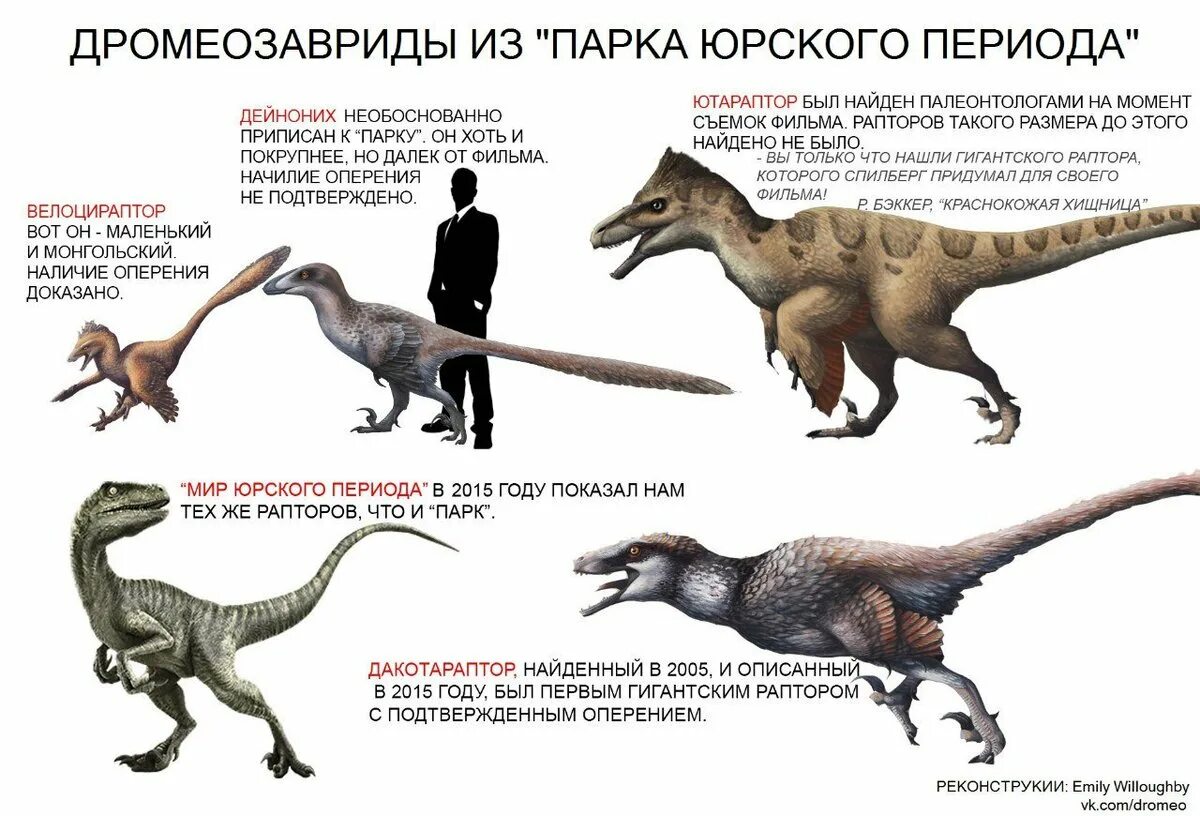 Сколько юрскому лет было. Дейноних и Велоцираптор. ДАКОТАРАПТОР Ютараптор Дейноних. Дейноних. Велицераптор. Дромеозаврид Дейноних.