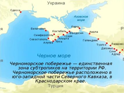 Какие города расположены в зоне субтропиков