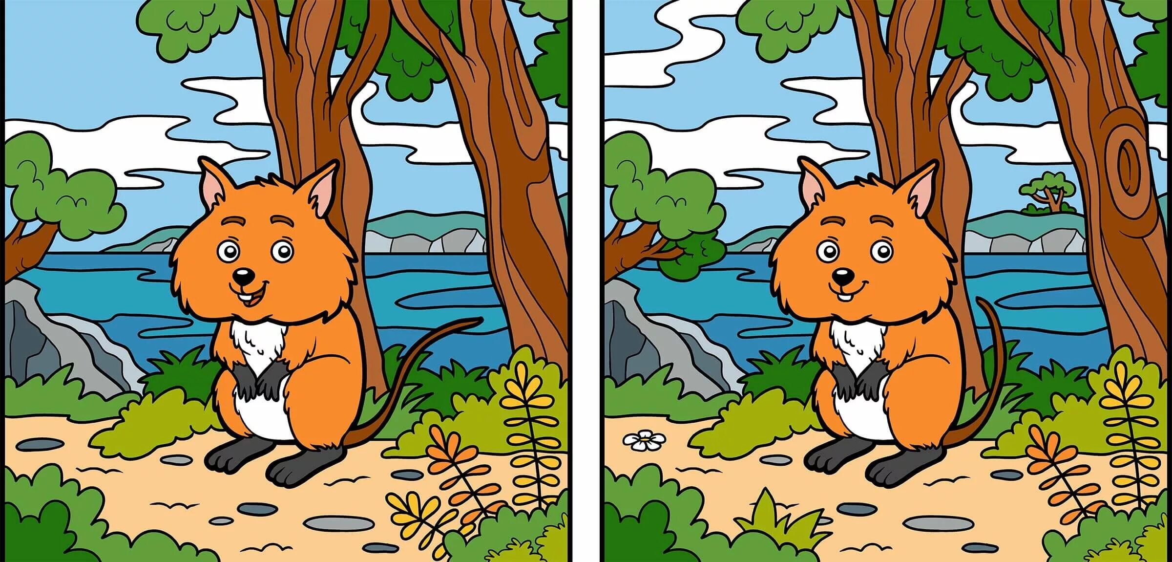 Finding differences