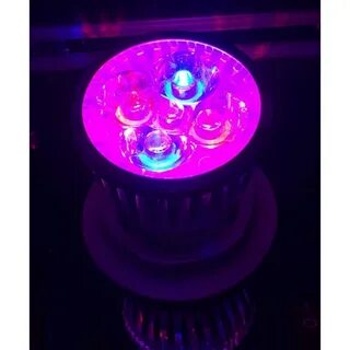 Led gr