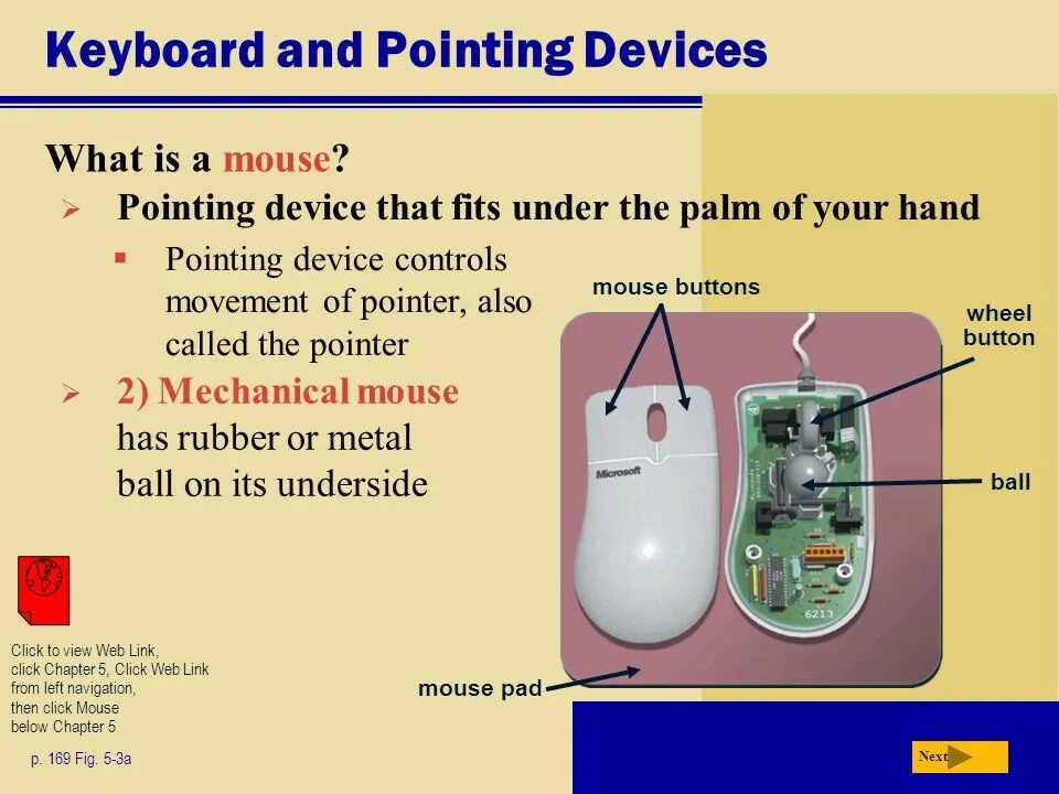 Device control. What is a mouse. the computer mouse первая. what is device. what is a mouse ответы на вопросы.