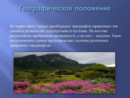Что такое ландшафт в географии