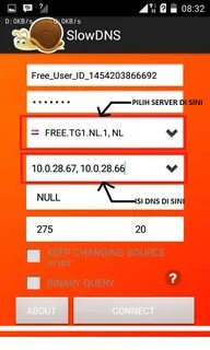 Nulls dns