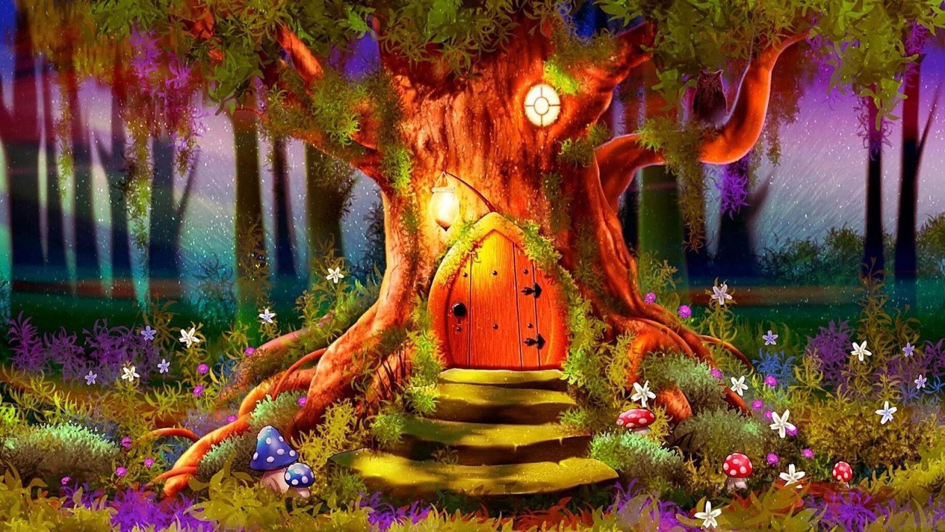 Заколдованный музыка. Сказочный лес. Сказочное дерево. Сказочный фон. Волшебный лес.