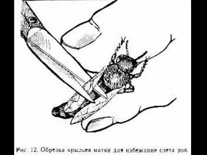 Почему обрезает