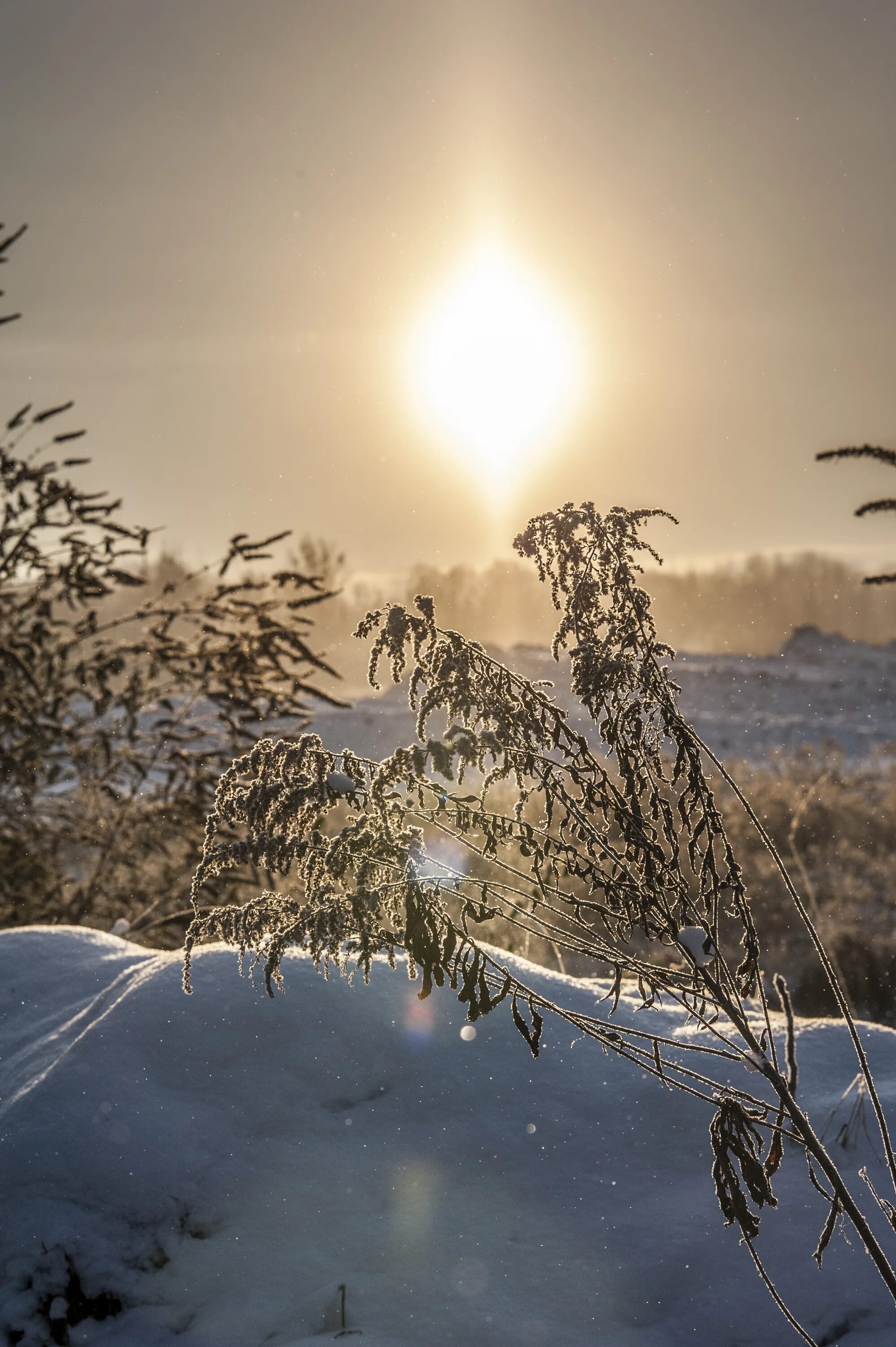 Cold and snowy. Морозное утро. Холодный зимний день. Морозное солнечное утро. Холодное утро зима.