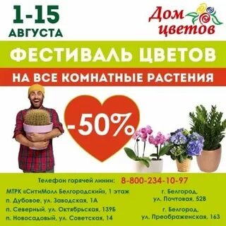 Дом цветов белгород