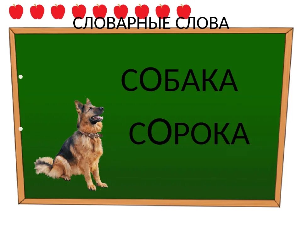 Игра слов собаки. Словарное слово собака в картинках. Слово собака. Словарная работа собака. Работа со словарным словом собака.