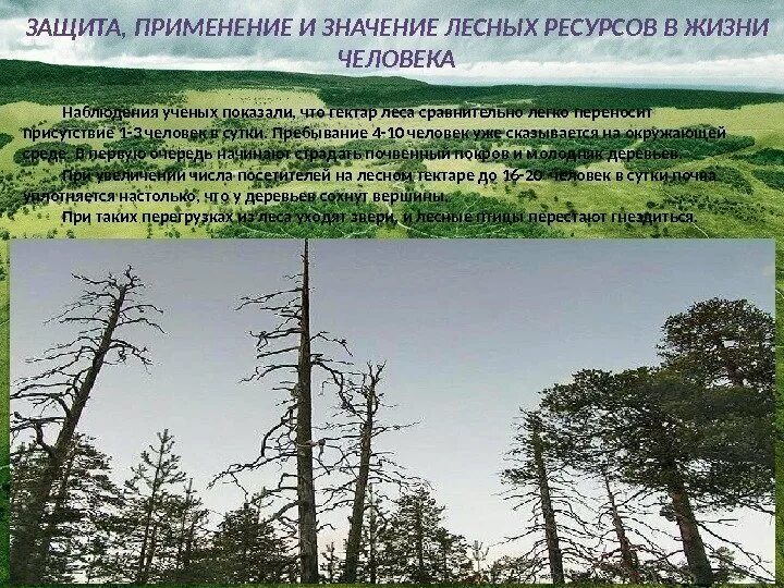 07 апреля 2024 - Схемы 1
