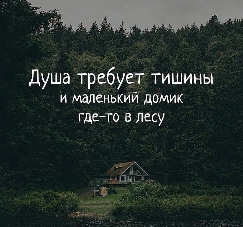 Хочу уйти в лес. Красивые фразы про дом. цитаты про лес. тишина цитаты. душа требует тишины и маленький домик в лесу.