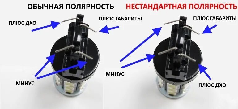 Полярность времени