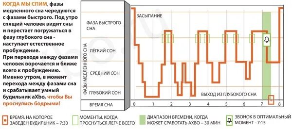 Фазы пробуждения. Фазы сна график. Фазы сна когда вставать. Фазы сна человека диаграмма. Чередование фаз сна.