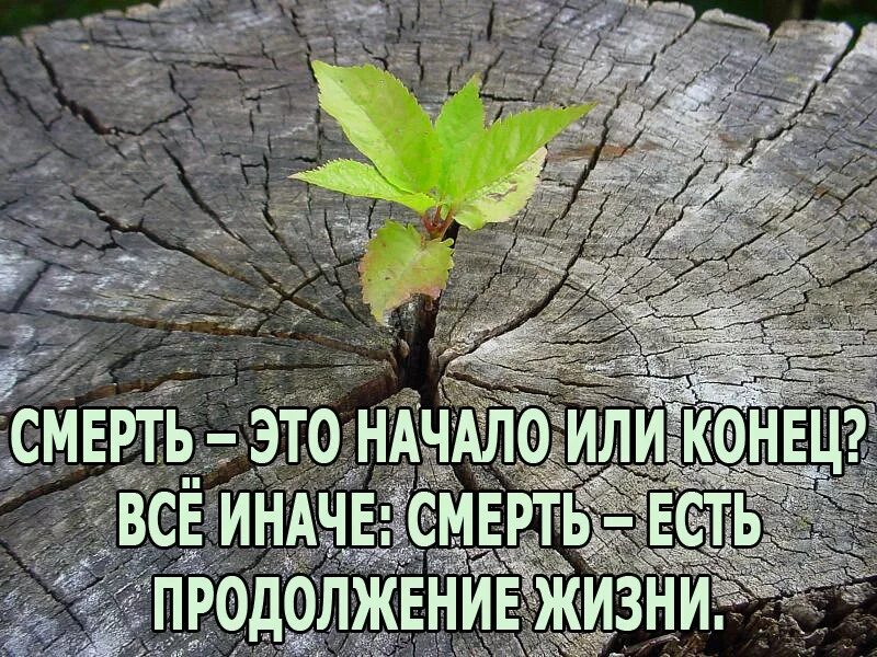 Как сказать бывшему что конец