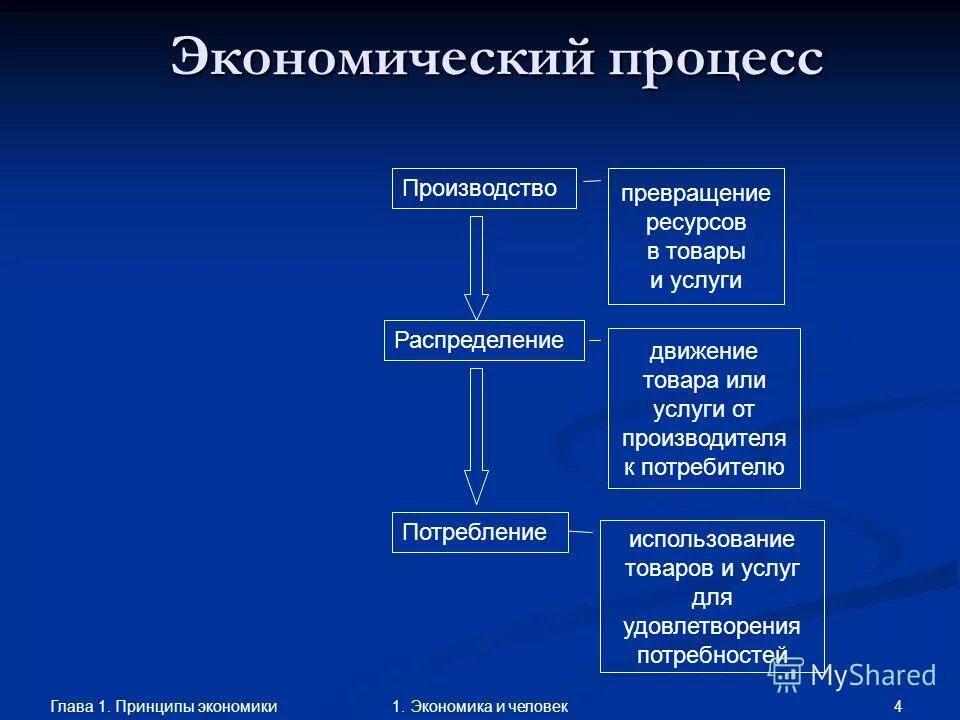Социальные экономические процессы. Принципы социально экономических процессов. Основные процессы экономики. Экономические процессы производства. Э к ономичнскип процессе.
