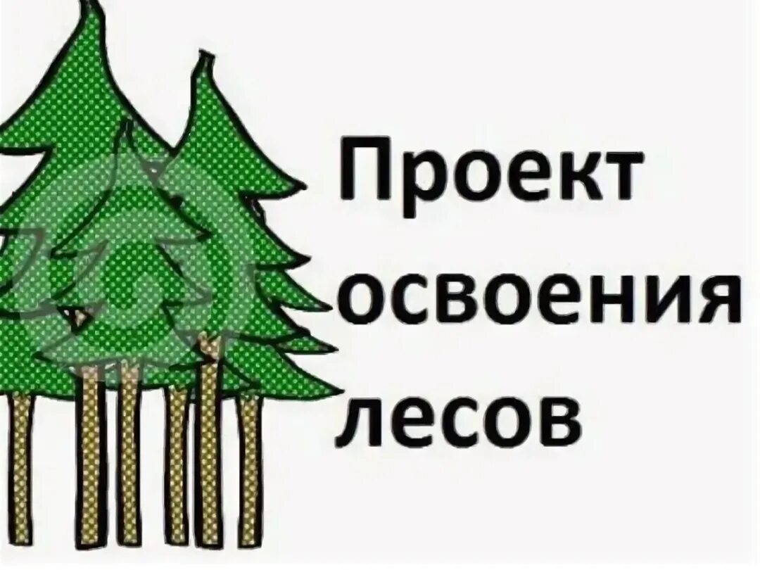 Проект освоения лесов цена за 1 га Другие виды использования лесов Межрегиональный центр лесного проектирования