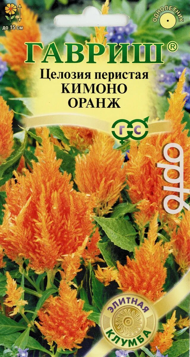 Целозия купить семена. Семена целозия перистая кимоно оранж. Целозия перистая кимоно оранж. Семена целозия перистая кимоно. Семена Гавриш элитная клумба целозия перистая кимоно оранж 10 шт..