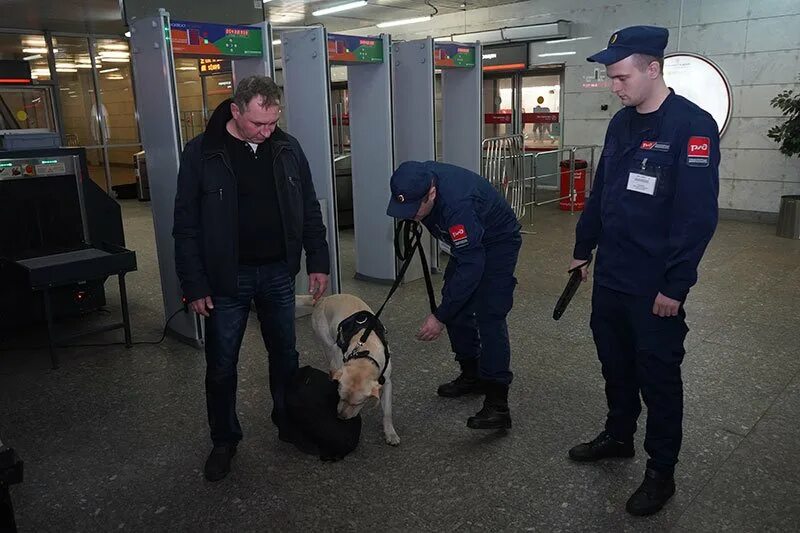 Управление специальной безопасности. О транспортной безопасности. Транспортная безопасность РЖД. Форма транспортной безопасности. Сотрудник транспортной безопасности.