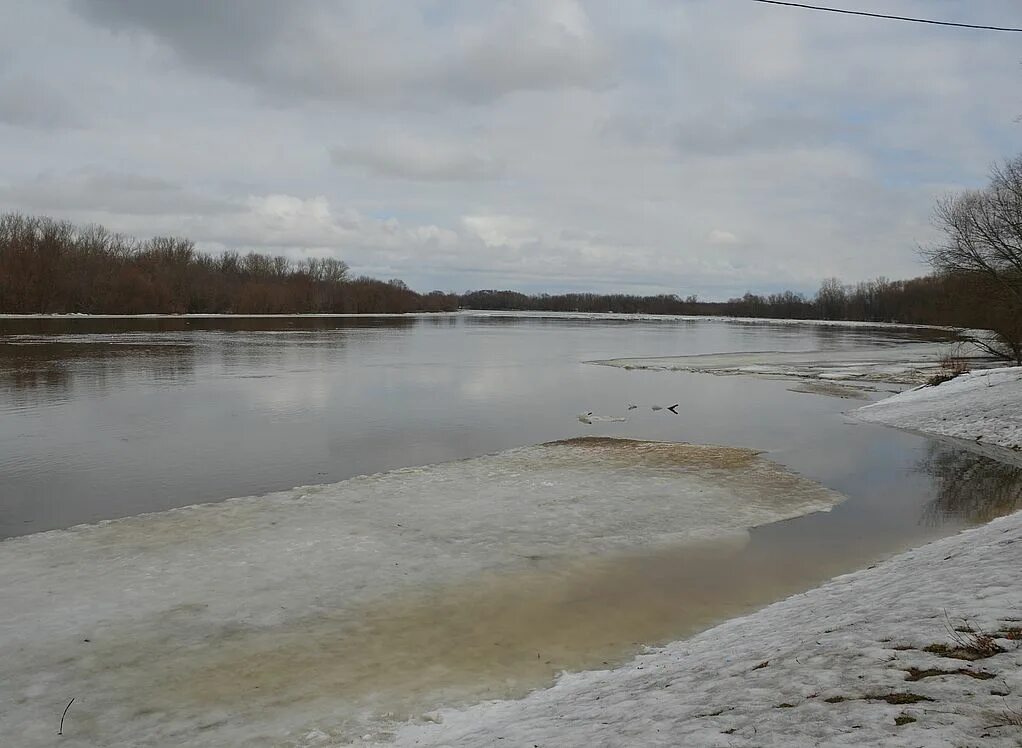 Уровень реки мокша. Уровень воды в оке. рязань уровень воды в оке на сегодняшний день. вода в оке рязань уровень воды. уровень реки мокша в кадоме.