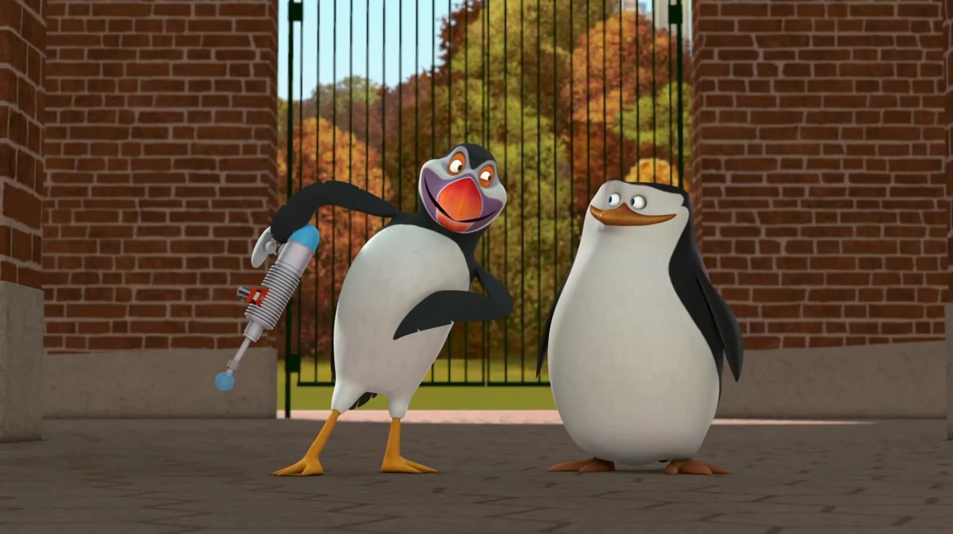 Пингвины мадагаскара 2014. Включи пингвины мадагаскара. Пингвины из мадагаскара 1. Включи пингвины мадагаскара. Рико ковальский шкипер.