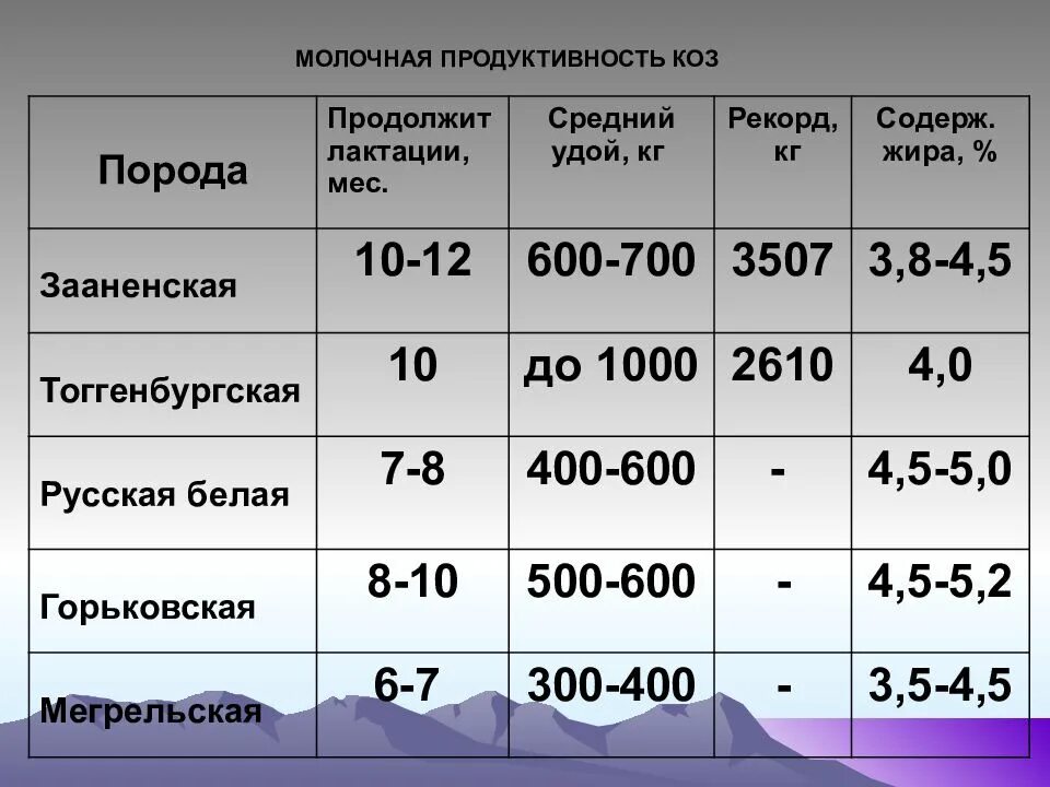 Сколько литров дает коза. Молочная продуктивность коз. Молочная продуктивность коз разных пород. Сравнительная таблица продуктивности молочных коз. Коза дойная продуктивность.