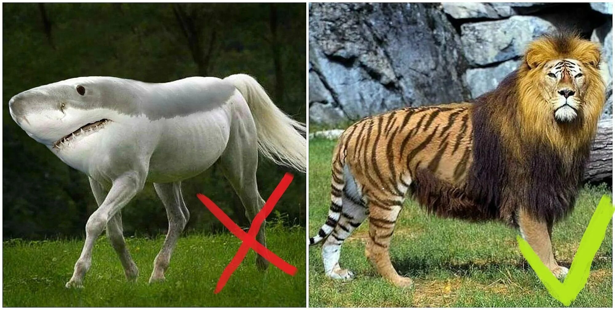 У которых можно было бы