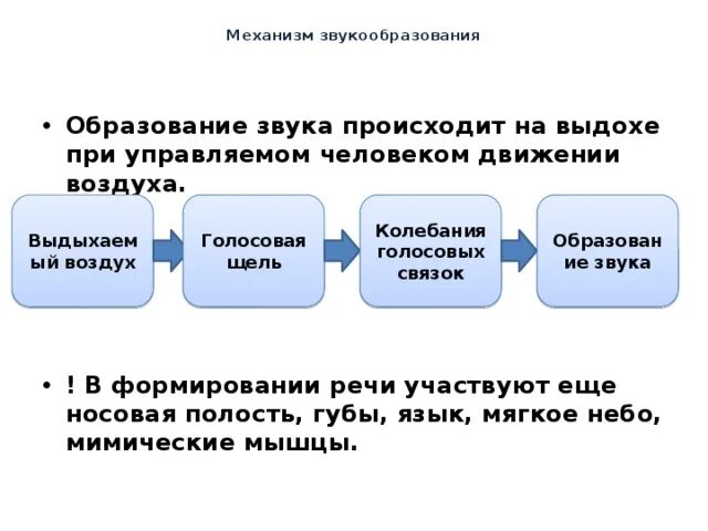 Образование звука происходит. Механизм звукообразования. Механизм образования звука. Механизм образования голоса.