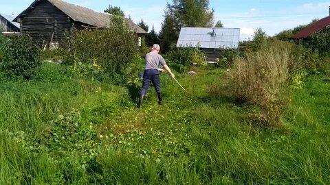 Надо ли косить