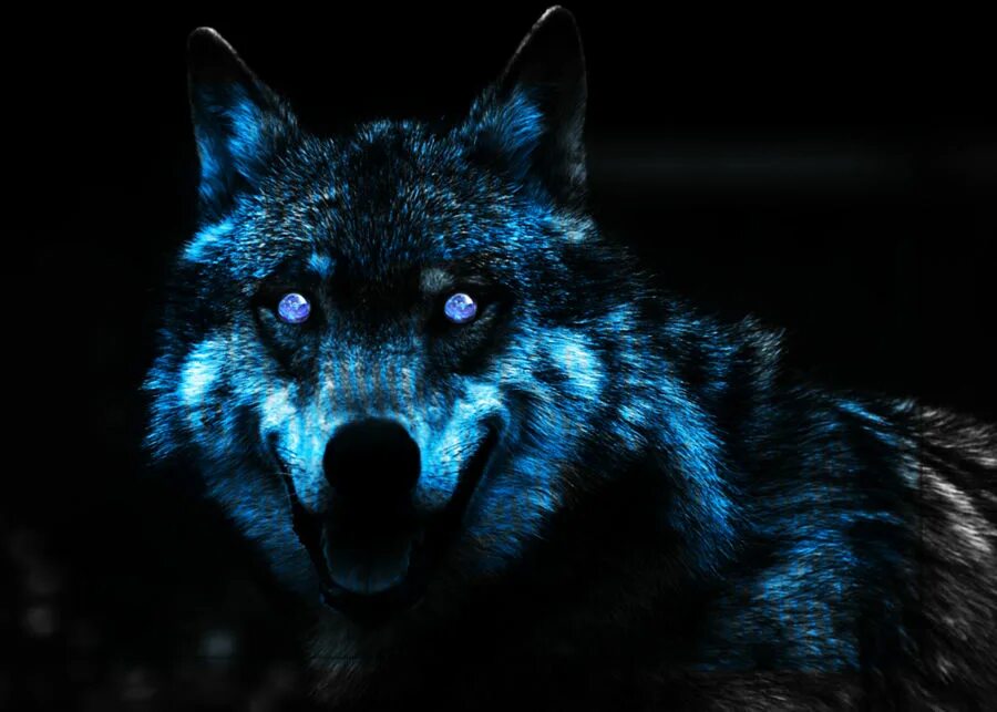Волк светятся глаза. Взгляд волка. Злой волк. Глаза волка в темноте. Оскал волка.