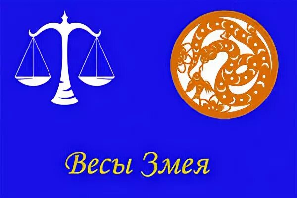 Весы змея совместимость. Змея и весы. Весы в год змеи. Символ весы со змеей. Весы знак зодиака год змея.