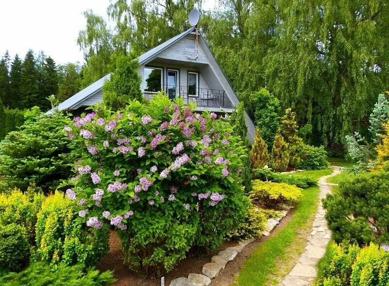 Rus dacha
