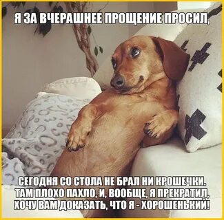 Утро прощение