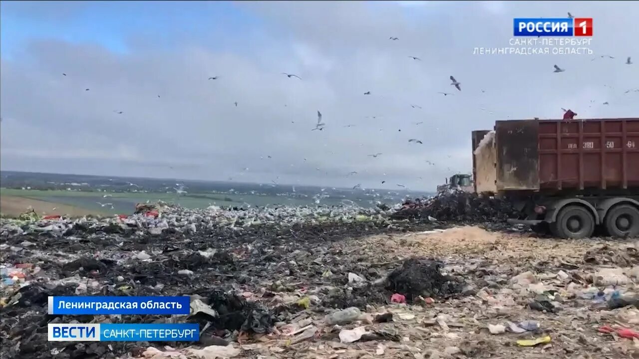 Городская свалка СПБ. Россия 1 вести Санкт-Петербург. Тульский мусорный полигон. Россия 1 новости 27