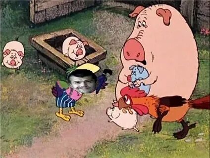 Попугай кеша в деревне