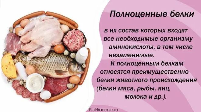 Источники полноценного белка. Полноценные белки. Полноценные и неполноценные белки. Биологически полноценные белки.