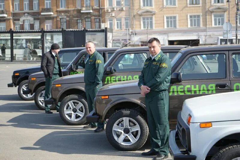 гау по никольский лесхоз пензенская область. дфо лесное хозяйство. дфо лесное хозяйство. министерство лесного хозяйства хабаровского края машины. департамент лесного хозяйства пушкино.
