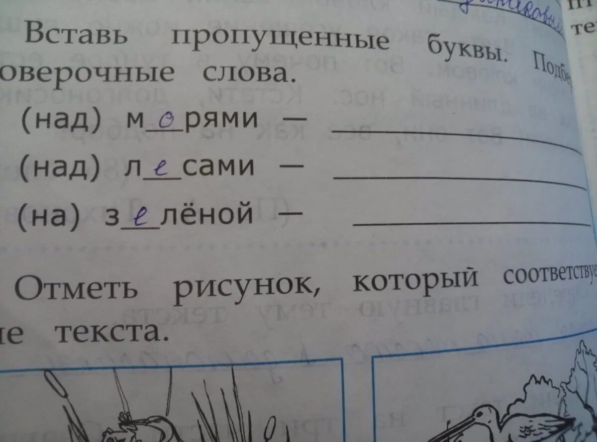 Проверочные слова. Подберите проверочные слова. Подбери проверочные слова 2 класс. Подбери к данным словам проверочные слова.