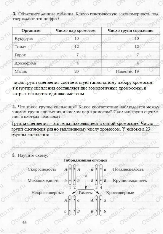 Рабочая тетрадь ответы биология 9