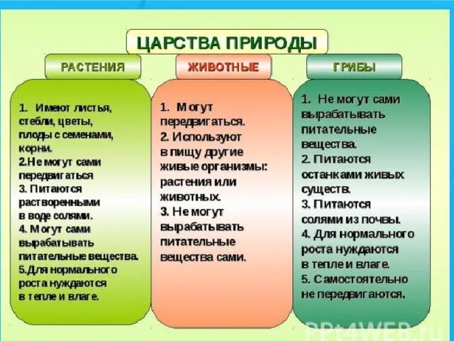 Различие царств. Таблица царство живой природы 2 класс окружающий мир. Царства живой природы 2 класс. Царства живой природы 3 класс окружающий мир. Царство живой природы 2 класс окружающий мир.