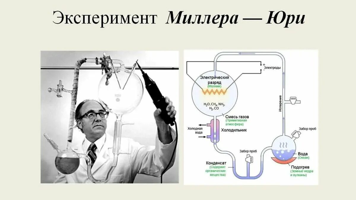 Опыт Миллера и Юри. Опыты Миллера и Юри (1953). Эксперимент Миллера - Юри. Эксперимент Стэнли Миллера. Аппарат миллера