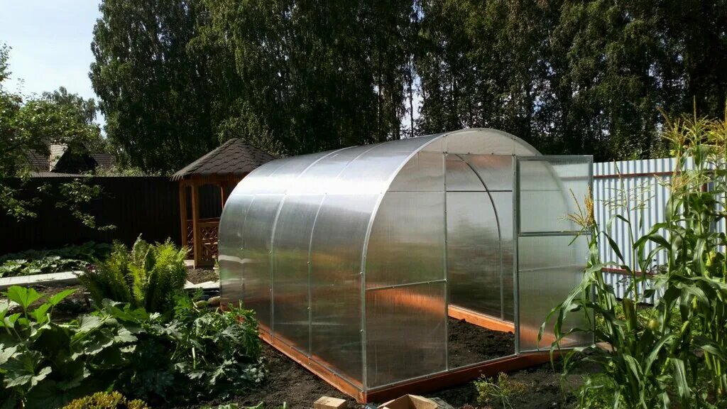 живая теплица челябинск монтажников 12. теплицы в тульской обл. каркас теплицы кремлевская люкс 3х4x2,1 м 3 дуги. завод теплиц монтажников 12. в теплице.