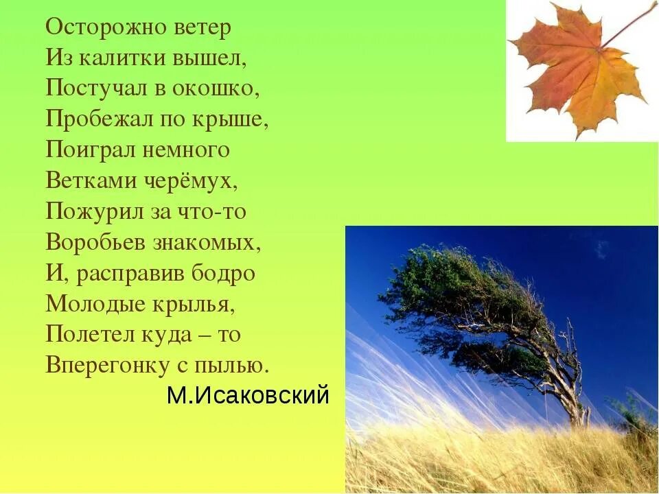 Наве т ветер посвяща тся стихотворение. Стихотворение про ветер. Стихи про ветер для детей. Стих о ветре 3 класс. Стихи про веер.