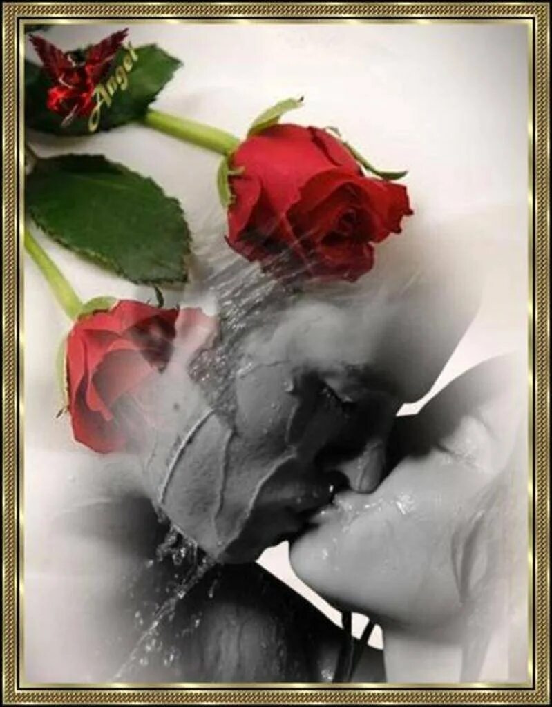 Поцелуй розы. Любовь цветы поцелуй. Поцелуй с цветами. Красивые букеты и поцелуи.