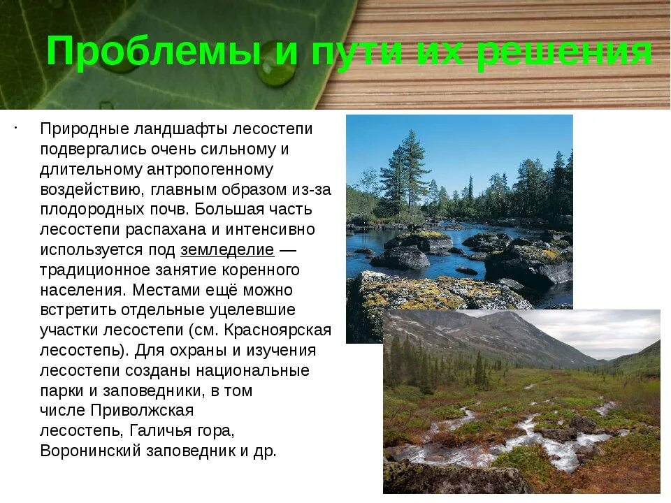 Экологические проблемы природной зоны лесостепи. Экологические проблемы степей и лесостепей. Экологические проблемы Степной и лесостепной зоны. Экологические проблемы лесостепи. Экологические проблемы лесостепи и степи в России.